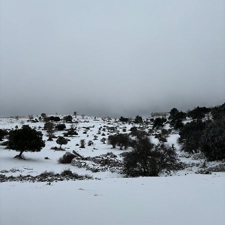 Casa Rural Las Nogueras Caserio Arroyofrio المظهر الخارجي الصورة
