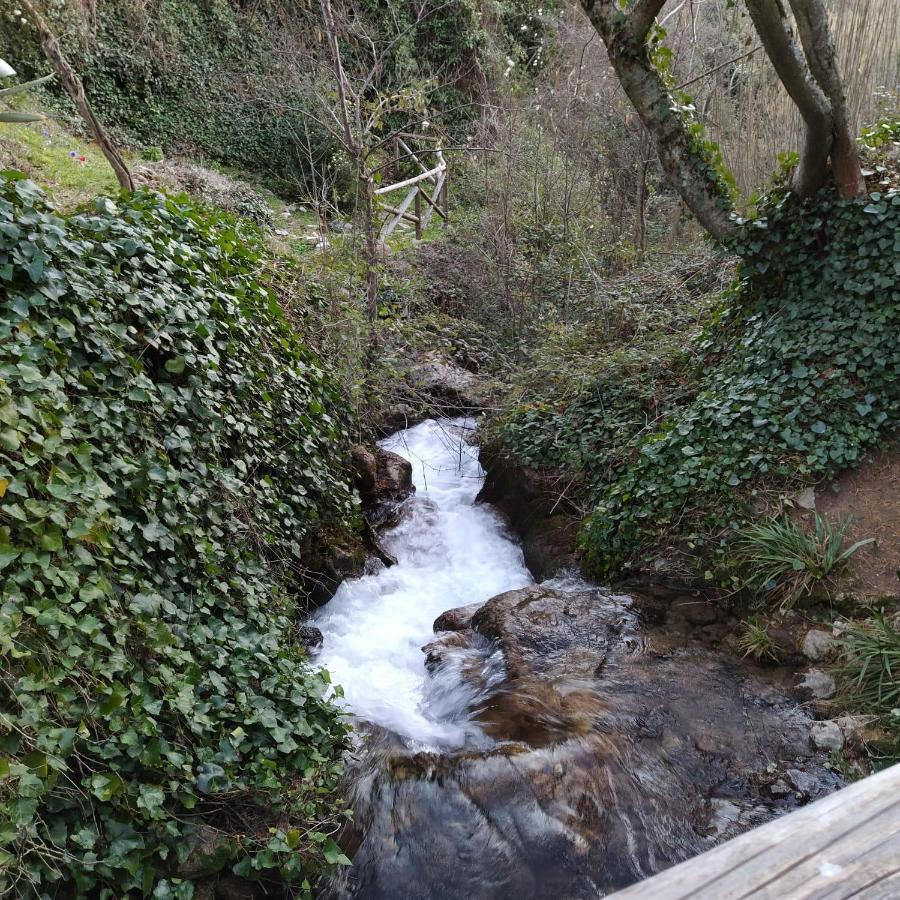 Casa Rural Las Nogueras Caserio Arroyofrio المظهر الخارجي الصورة