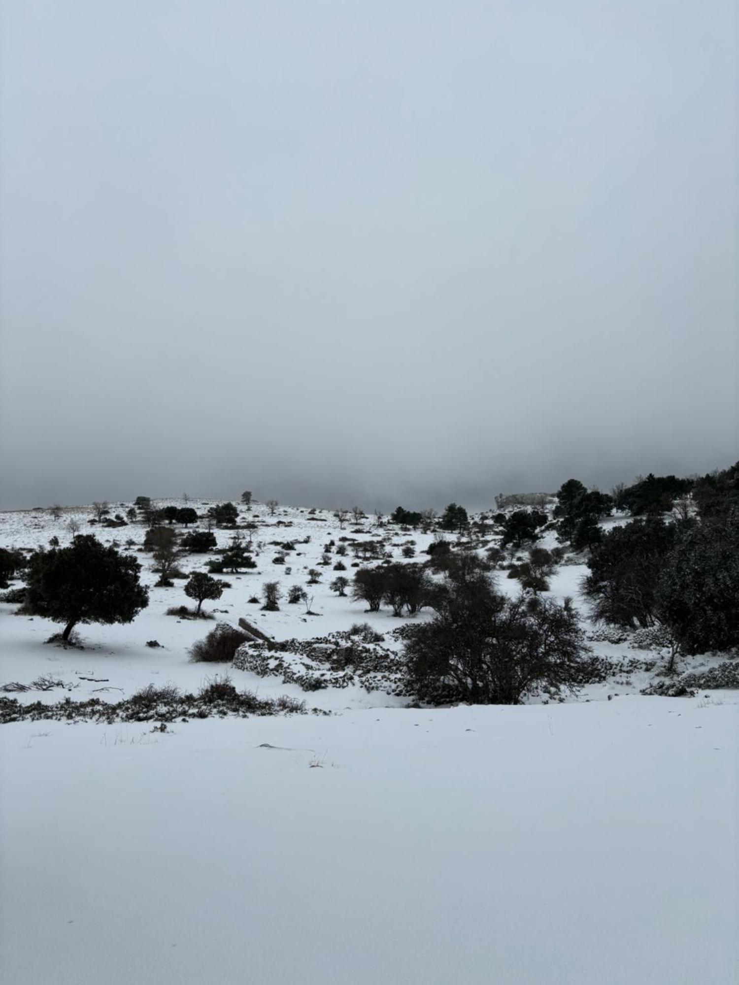 Casa Rural Las Nogueras Caserio Arroyofrio المظهر الخارجي الصورة